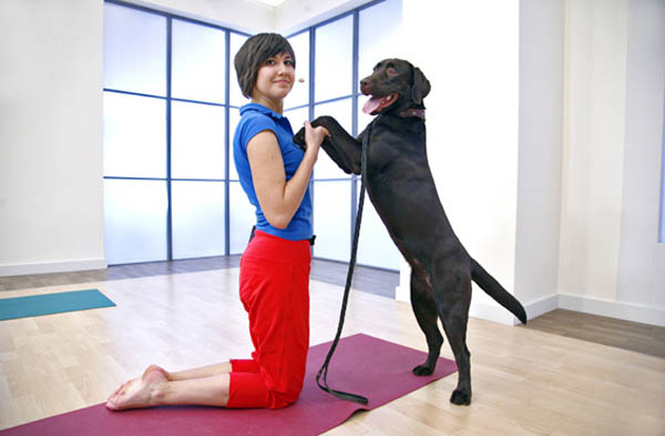 Дога-йога, занятие йогой с собакой.